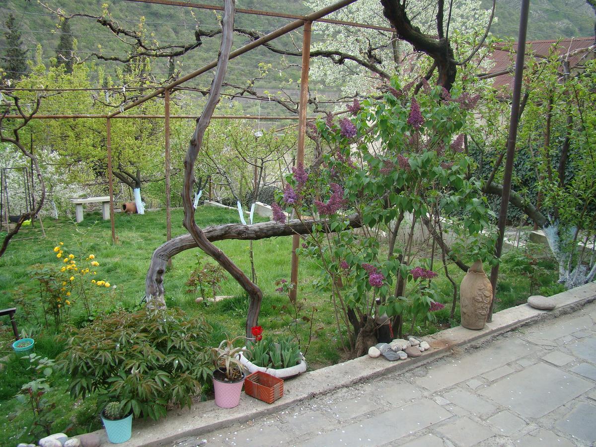 Guest House Ucha Мцхета Екстер'єр фото