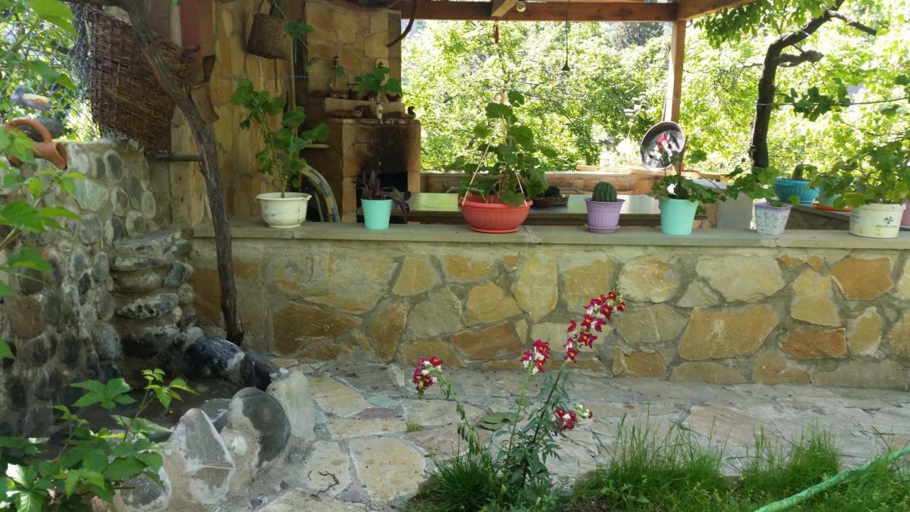 Guest House Ucha Мцхета Екстер'єр фото